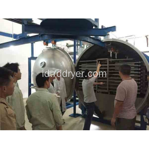 Vacuum Dryer Combined Microwave Energy